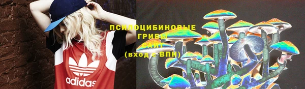 эйфоретик Баксан